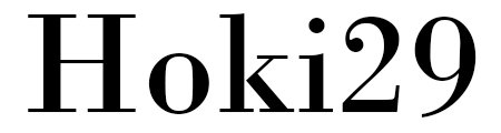 Hoki29